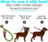 Slip Lead Dog Leash, 1/4" x 5ft No Pull Slip-on Training Leash for Small and Medium Dogs (Green)