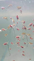 SuperP1 50 95% 24-32 Clione g. (Premium Grade) Artemia Cysts Brine Shrimp Eggs Fish Food Plus Hatch Rate in Hour, Fresh