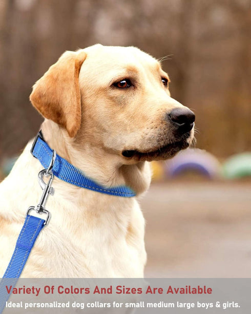 Reflective Dog Collar with Buckle, Adjustable Safety Nylon Collars for Small Medium Large Dogs, Navy Blue (L)