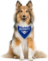 Security Dog Bandana, Blue Pet Scarf Accessories, Funny Cute Triangle Scarf for Small Medium Large Dogs, Gift