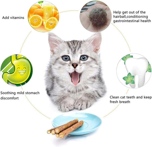 20 PCS Cat Catnip Sticks, Natural Matatabi Silvervine Sticks - Molar Tools Kitten Chew Toy