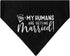 My Humans are Getting Married Dog Bandana Collar, Engagement Gift, Wedding Photo Prop, Pet Accessories (Small, Black)