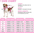 FEimaX Dog Recovery Suit After Surgery, Pet Abdominal Wounds Post Surgical Shirt for Dogs Cats, Puppy Spay Neuter Prevent Licking Onesie Alternative Bandages E-Collar & Cone