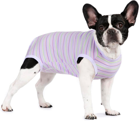 Puppy Striped Recovery Suit for Dogs and Cats - Zip Up Onesie for Abdominal Wounds, Professional Spay Neuter Bodysuit