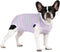 Puppy Striped Recovery Suit for Dogs and Cats - Zip Up Onesie for Abdominal Wounds, Professional Spay Neuter Bodysuit