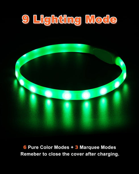 Light Up Dog Collar, Multi-Color USB C Rechargeable LED Collar, High Visibility Glow in The Dark for Small Medium Large