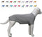 Lovelonglong Pet Clothing, Dog Costumes, 100% Cotton Blank T-Shirt for Dachshund & Corgi Dogs, Gray D-M