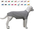 Lovelonglong Pet Clothing, Dog Costumes, 100% Cotton Blank T-Shirt for Dachshund & Corgi Dogs, Gray D-M