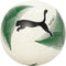 PUMA Unisex-Adult Futsal 3 MS IND, White-Dark Green, 4 (8431801)