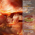Farmland 2 lb. Traditions USA Made Pork Jerky Dog Treats