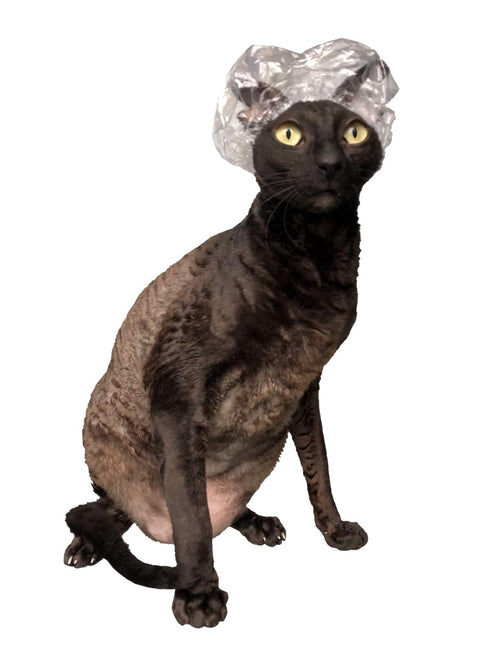 20 Shower Caps for Sphynx Cats and Other Hairless Cats, Gift Box Tin