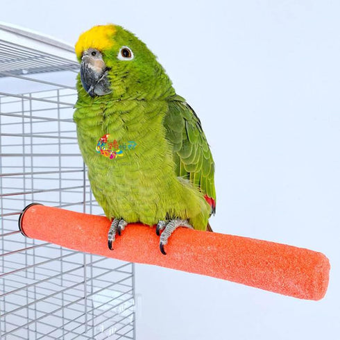 10 Pcs Colorful Parrot Perch Stand, Bird Perch Stand Toy, Paw Grinding Stick Cage Wooden Accessories for Cockatiels