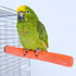 10 Pcs Colorful Parrot Perch Stand, Bird Perch Stand Toy, Paw Grinding Stick Cage Wooden Accessories for Cockatiels