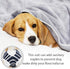 Dog Diapers Period Suit for Female Dog Sanitary Panties in Heat Male Doggy Diapers Cover Dog Onesie to Keep Diaper On
