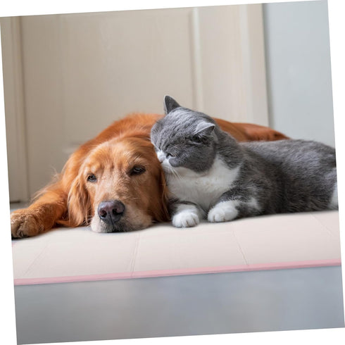 1 Washable Super Absorbent Dog and Cat Pee Pads - Bag, Compact Size, Multi-Functional