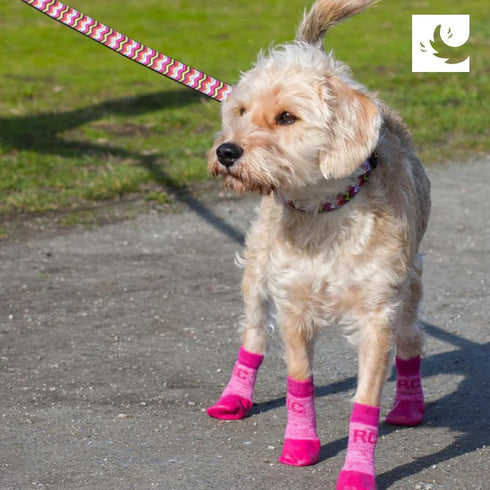 RC Pet Products Sporty PAWks Anti-Slip Dog Socks, Stylish and Functional Protective Socks for XX-Small Dogs