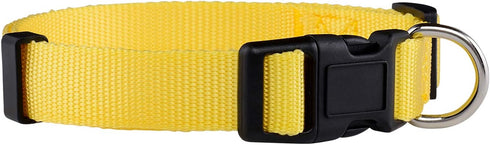 Native Pup Basic Nylon Dog Collar, Adjustable for Small Medium Large Pets, Cute Colors for Boys and Girls (Medium,