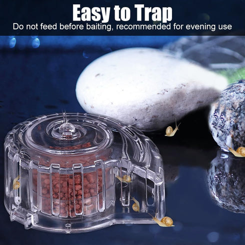 MiOYOOW Planaria Trap, Transparent Planaria Catcher for Aquarium Fish Tank Planaria Leech Small Snail