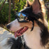 UV Protection Dog Goggles for Medium & Large Dogs - Waterproof Windproof Sunglasses for Long-Snout Breeds Outdoor