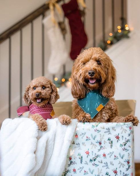 Remy+Roo 2 Pack Dog Bandanas, Evergreen Christmas Set, Premium Durable Fabric, Adjustable Fit