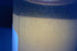 BugBoy4Ever (2) Two Live Vinegar eel (Turbatrix aceti) Starter Culture Vials - Cultured in apple cider vinegar (