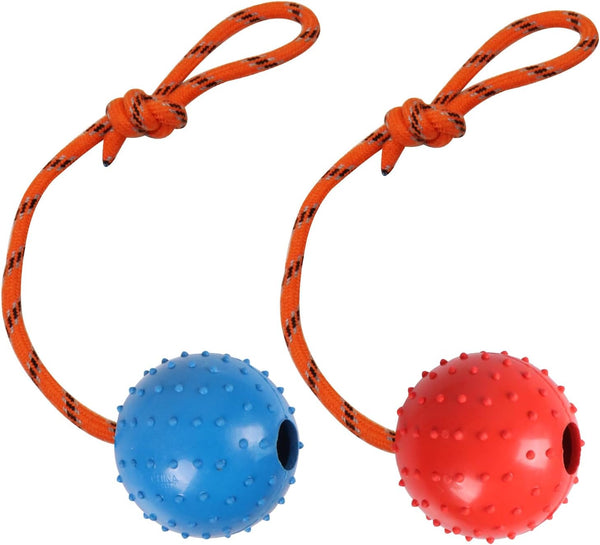 2 Pack Dog Ball, K9 Ball, Solid Rubber Ball on Rope for Reward, Fetch, Play (Blue and Red)