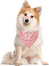 ZPPRJF Big Sister Dog Bandana, Pink Pet Dog Scarf Accessories, Pet Triangle Scarf for Small Medium Dogs, Baby