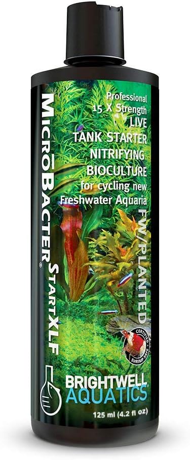 Brightwell Aquatics MicroBacter Start XLF - Concentrated Freshwater Nitrifying Bacteria, 4.22 fl oz