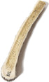 Prairie Dog Antlers - North American Split Moose Antler, Medium, 6-7.5 inches