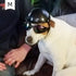 Enjoying Dog Helmet for Medium Dogs - Motorcycle Doggie Helmets for Small to Medium Breeds, Adjustable