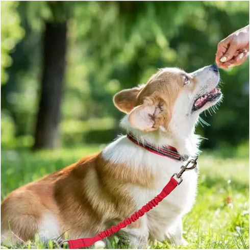Short Dog Leash Extender - 18 in Bungee Shock Absorbing Nylon Leash for Medium to Large Dogs, Walking & Training (Red)