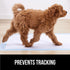 100 Count 22x22 5 Gorilla Guard Disposable Puppy Pads, in, Layer Pee Pads for Dogs, Absorbent Diaper Changing Pad, Dog