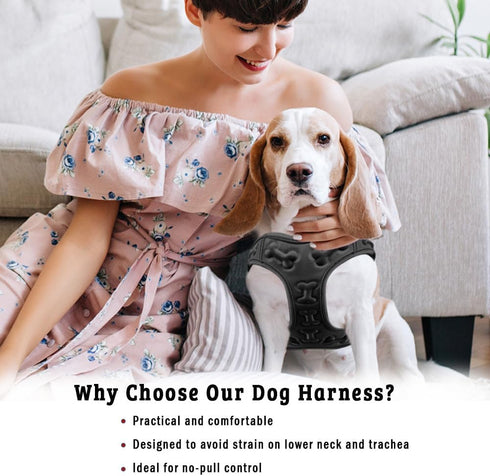 Comfort Fit Dog Harness, No Pull, Step in Harness for Small Dogs, Soft Padded Vest, Adjustable Buckles, Black XS