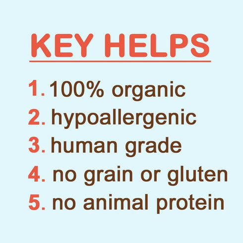 CocoTherapy Ginger Coco-Milk Bones - 3 Pack, 6 Ounces Each, USDA Organic