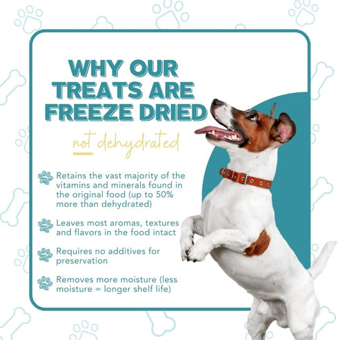 Just Turkey Hearts Freeze Dried Dog Treats, USA Sourced, Human-Grade, All Natural, 3 oz