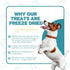 Just Turkey Hearts Freeze Dried Dog Treats, USA Sourced, Human-Grade, All Natural, 3 oz