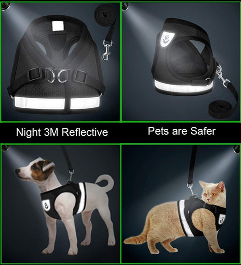 Adjustable Reflective Soft Mesh Vest Cat and Puppy Harnesses with Leashes Set, Escape Proof Outdoor Harness for Kittens