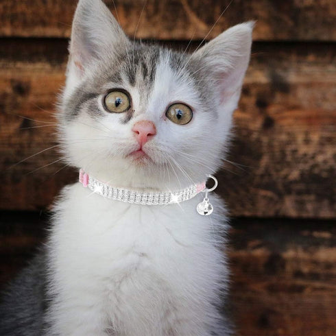 EXPAWLORER Soft Velvet Safe Cat Collars for Girl Cats - 2 Pack Rhinestones Bling Adjustable Breakaway Collars
