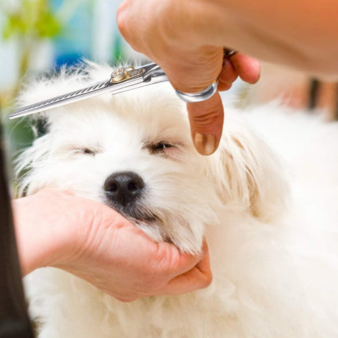 JP-440C Cutting/Trimming (7 Inch-Chunker Dream Reach Professional Dog Grooming Straight, Curved