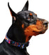 Rhea Rose Dog Collar for Small Dogs, Cute Floral Plant Pattern, Special Design for Female Pets (Black, S)