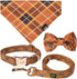 Stylish 4 Feet Dog Leash, Cute and Durable Training and Walking Accessories for Small, Medium, Large Pets (Ditzy
