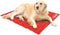 Coleman Large Comfort Cooling Gel Pet Pad Mat 20x36 for Large Pets (Red)