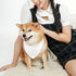 Custom Pet Scarf Dogs Bandana, Add Your Pet Photo Name, Triangle Scarf Dog Kerchiefs Dog Bib Accessories for Puppy Cat