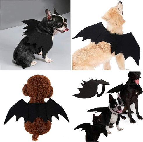 Malier Halloween Cat Costume - Pet Bat Wings for Cats and Dogs