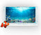 36X24IN Under The Sea Coral Reef Aquarium Background - Terrarium Background with 10 EVA Tape