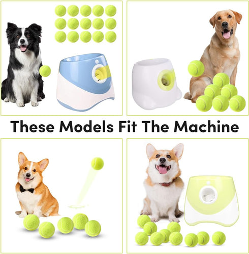 6 Pack 2 inch 2 inch ZIYIZE Mini Tennis Balls, Dog Tennis Balls, Easy Catching Pet Playing Ball for Dog Ball Launcher