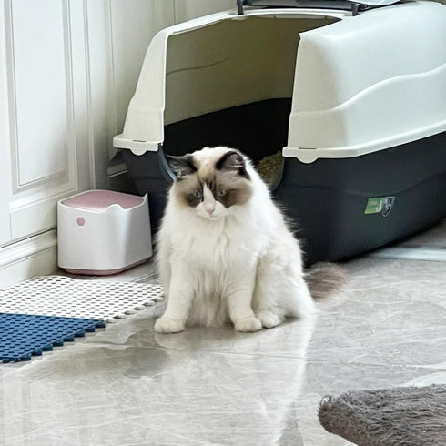 Mini Cat Litter Trash Can with Press Type Lid, Includes 60 Refill Bags for Cat Poop