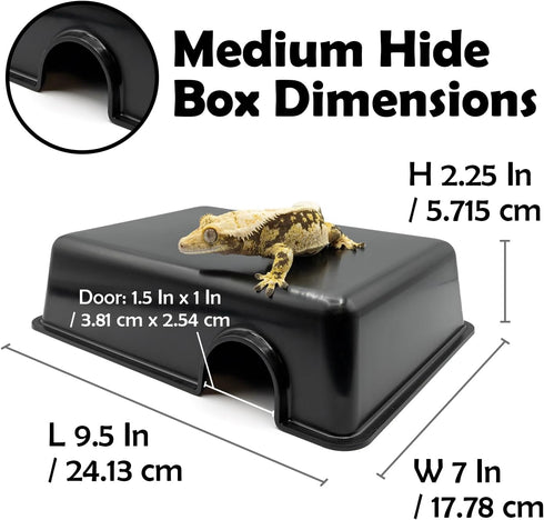 Pangea Reptile Hide Box (C- Medium) in Black