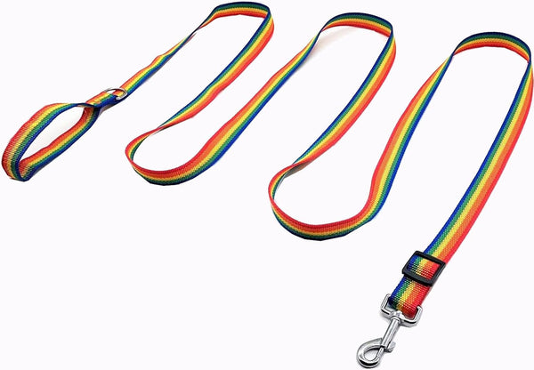 Adjustable Nylon Dog Leash, 6FT/10FT Long Leashes for Small Medium Large Dogs (1 in x 10 ft, Rainbow)