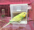 Hypeety Automatic Bird Feeder, No Mess Pet Feeder Seed Food Container for Budgerigar Canary Cockatiel Finch